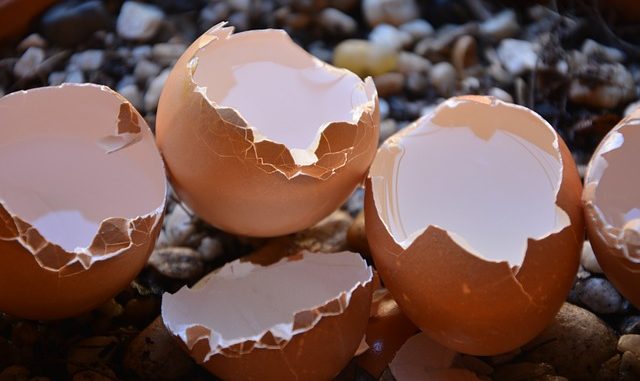 Nevyhazujte skořápky od vajec – použijte je k tvoření